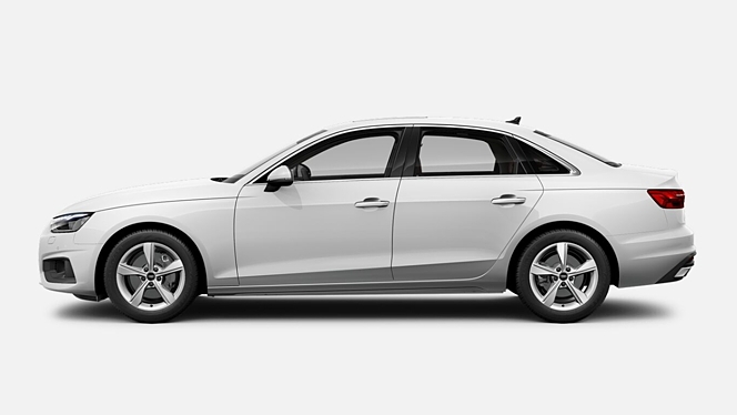 Ibis White