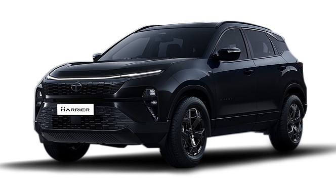 Oberon Black