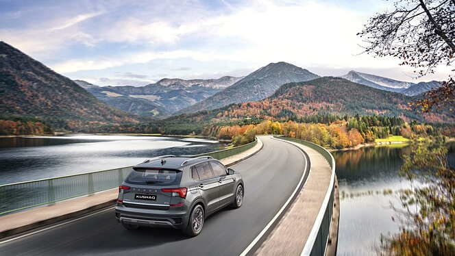 Skoda Kushaq Rear View