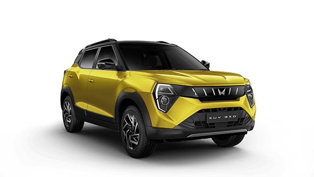 Citrine Yellow with Stealth Black