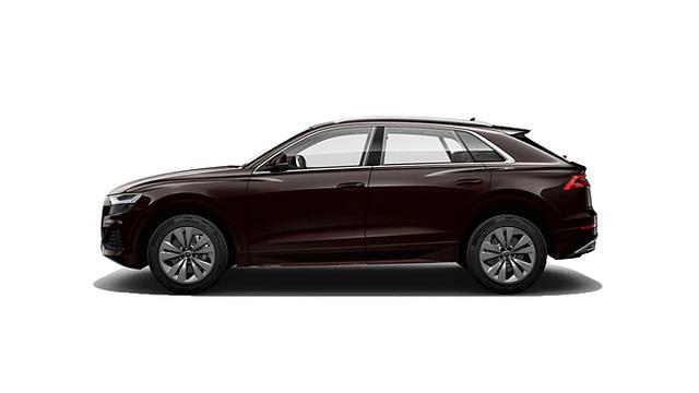 Tamarind Brown Metallic