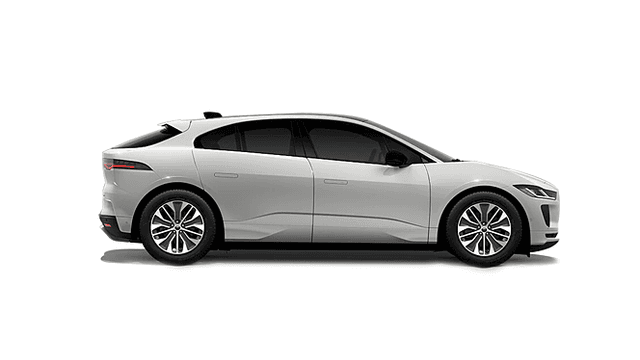 Fuji White