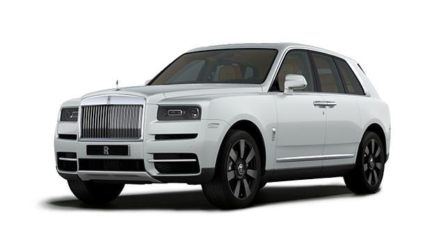Arctic White