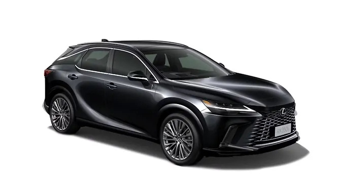 Graphite Black Glass Flake