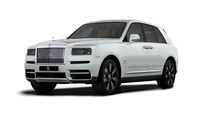 Arctic White