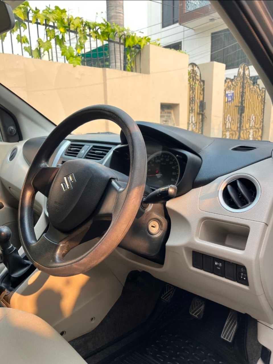 INTERIOR image for CELERIO