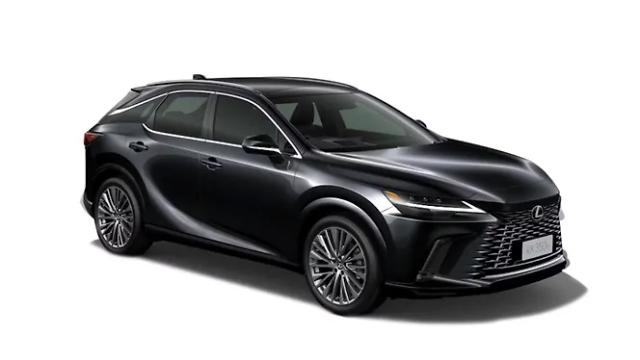 Graphite Black Glass Flake