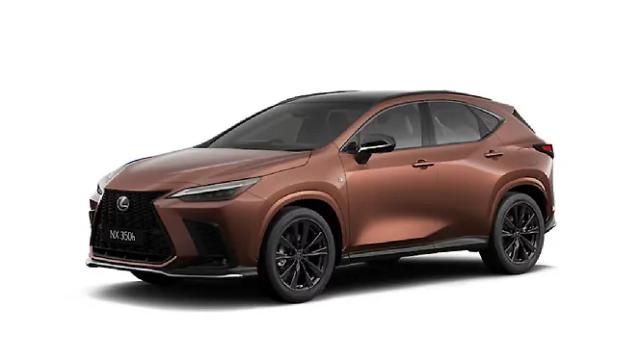 Sonic Copper