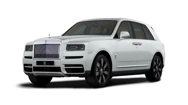 Arctic White