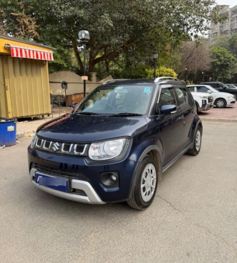 LOOK_AROUND image for IGNIS DELTA AGS